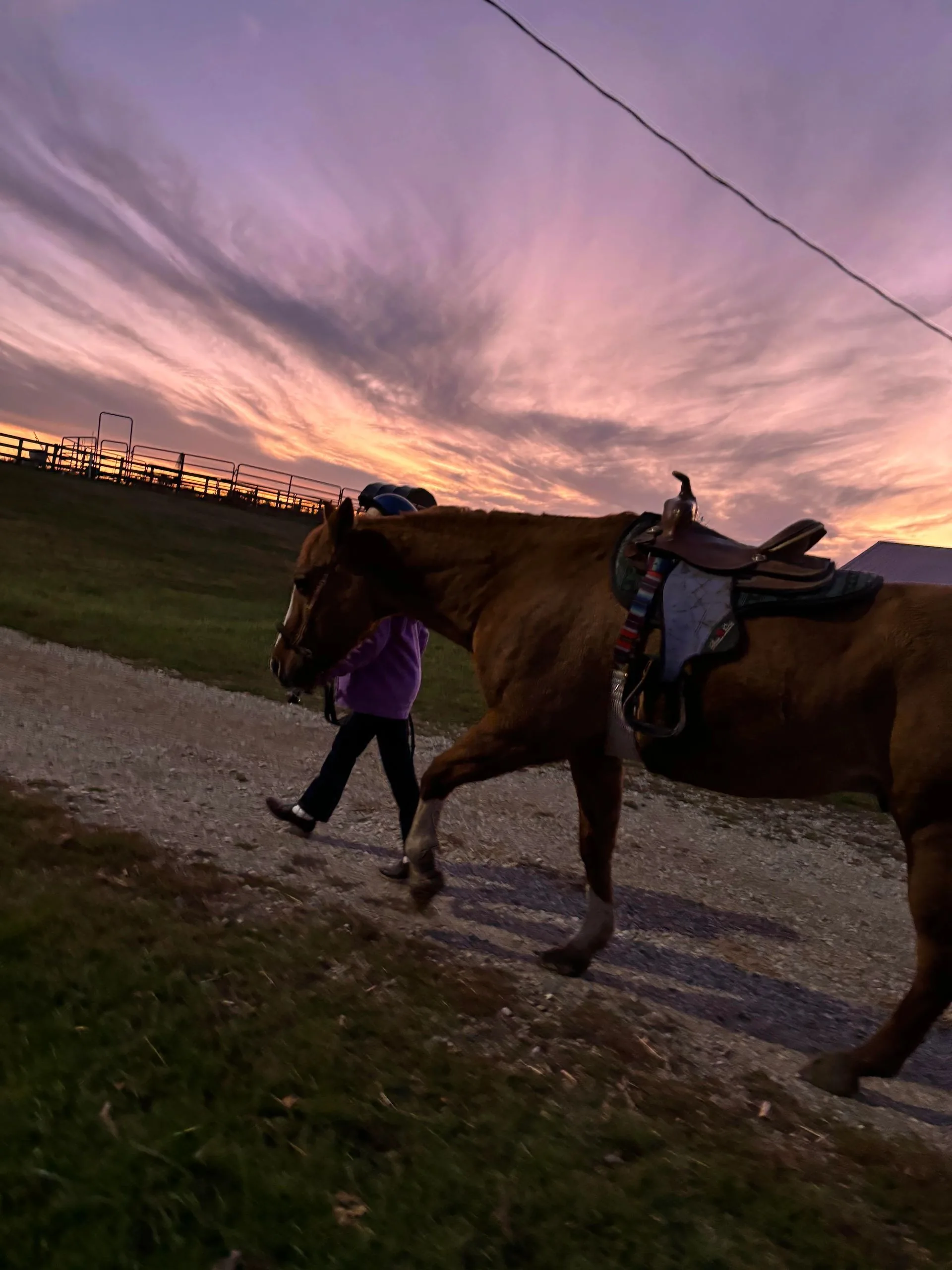 A rider and a saddled horse at sunset