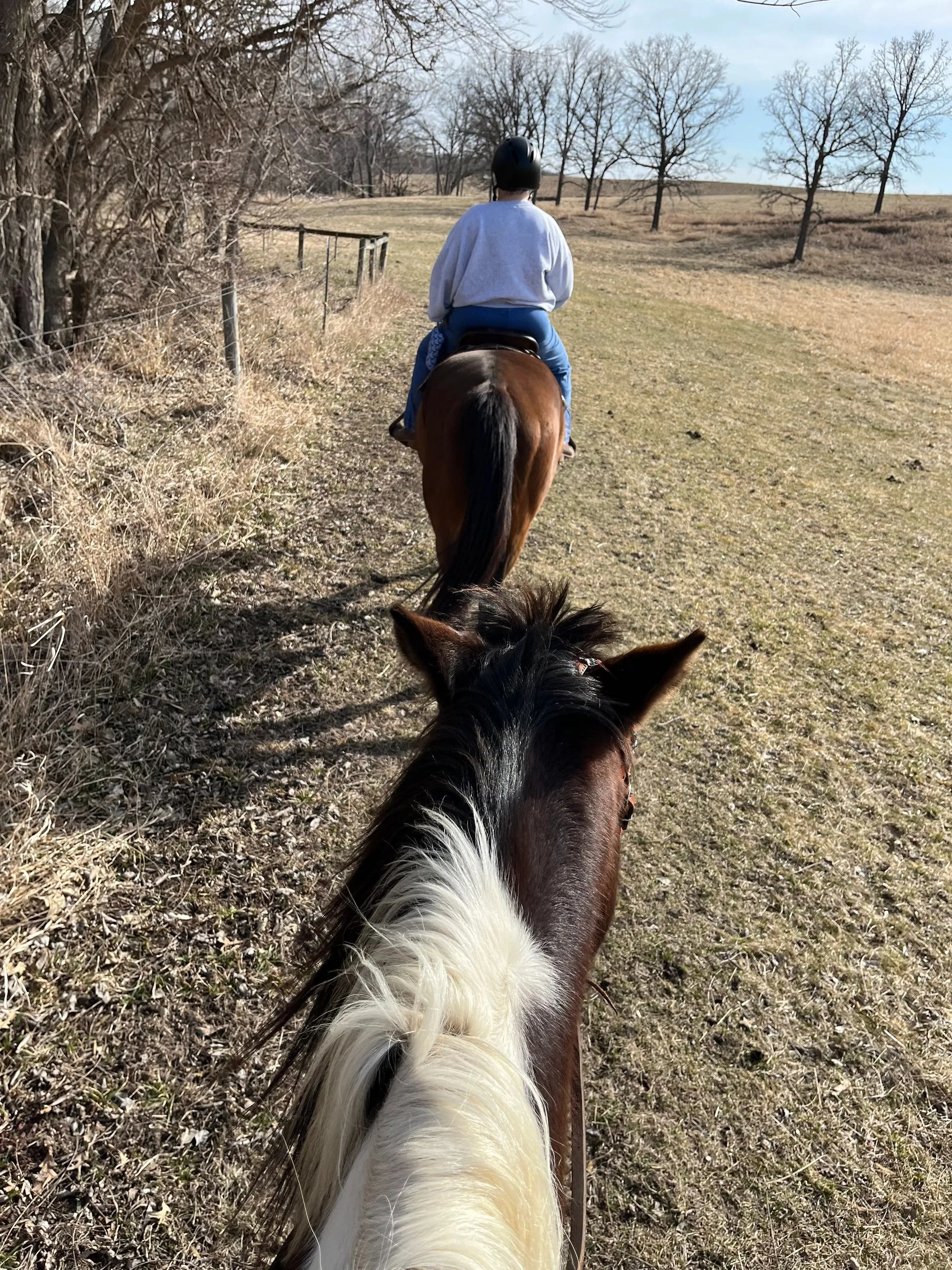 Looking down a ranch trail between a horse’s ears